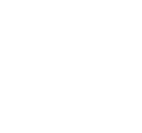 THE CLASS